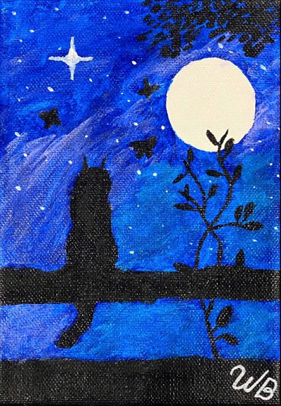 A Night of Observation